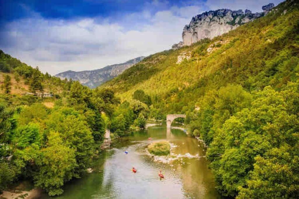 L'Oree Cevenole, Gite Avec Spa Et Vue Panoramique Sur Les Cevennes Daire Saint Julien Les Rosiers Dış mekan fotoğraf