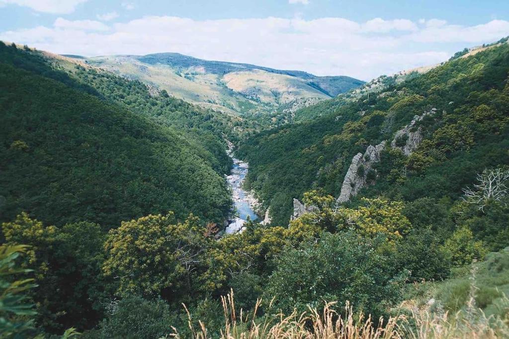 L'Oree Cevenole, Gite Avec Spa Et Vue Panoramique Sur Les Cevennes Daire Saint Julien Les Rosiers Dış mekan fotoğraf