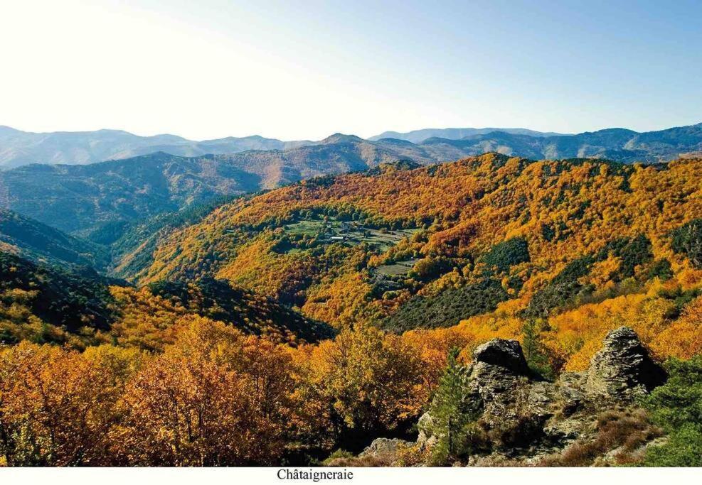 L'Oree Cevenole, Gite Avec Spa Et Vue Panoramique Sur Les Cevennes Daire Saint Julien Les Rosiers Dış mekan fotoğraf